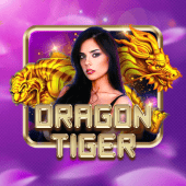 Dragon Tiger live dealer game on JL5